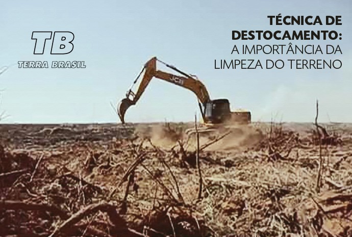 You are currently viewing Técnica de destocamento: a importância da limpeza do terreno